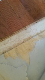 20170924_105946_resized.jpg
