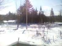 IMG_20170218_104055.jpg