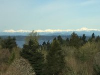 IMG_3808[30243].jpg