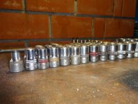 DSC06784.jpg