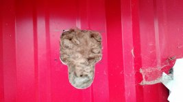 IMG_20161224_161521064.jpg