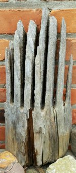 Sawn log (2).jpg