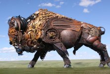 Buffalo2.jpg