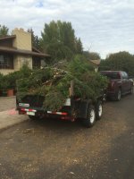 IMG_0147.jpg