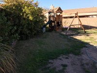 IMG_4378.jpg