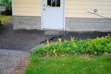 DSC_6557.jpg
