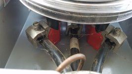 20170318_074454.jpg