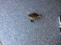 IMG_0320.jpg