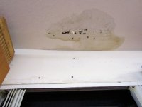 Garage Leak 1.jpg