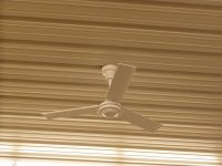 P1010026.jpg
