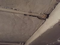 5-beam-and-plaster.jpg