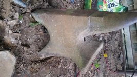 20170721_103921.jpg