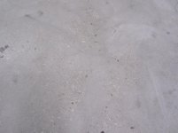 IMG_7534.jpg