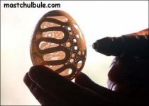 eggshell2.jpg