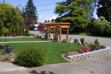 from driveway toward street.jpg