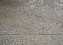 IMG_5175.jpg