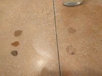 H+CLFvsPledgeFuture-3stainsWineOilCoffee-After1hour-Wiped.jpg
