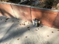 IMG_0325.jpg