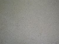 Various 059 (Small).jpg