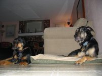 Feb 08 08 092.jpg