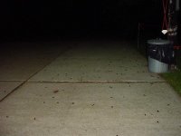 June bugs 10 05 (Small).jpg