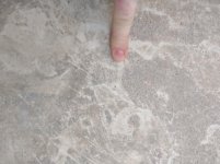 IMG_20171112_090020.jpg