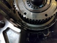 20170308_072947.jpg
