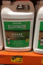 Grass.jpg