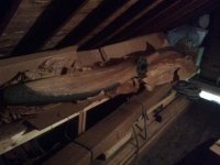 IMG_5950.jpg