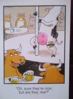 COW STRIPPER UTTERLY UNBELIEVABLE.jpg