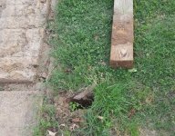 PorchPost.jpg