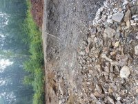 20170819_075137.jpg