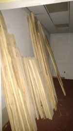 IMG_20170226_183738971.jpg
