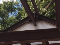 IMG_0391.jpg
