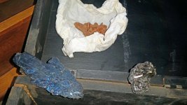 20171122_062245.jpg