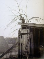 Chicken Coop.jpg