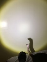 Img1.JPG