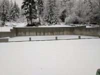 IMG_20170206_090302.jpg