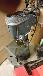 20170802_200613_resized_1.jpg