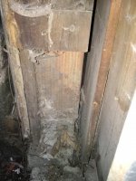 IMG_20170310_195352.jpg