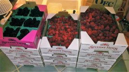 WP_20170701_015[36844].jpg