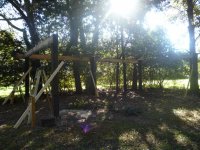 mill pole shed too.jpg