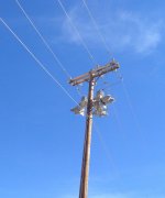 IMG_1274.jpg