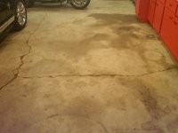 IMG00041-20101119-1746.jpg