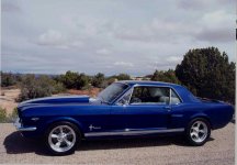Copy of mustang.jpg