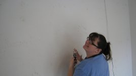 IMG_1595.jpg