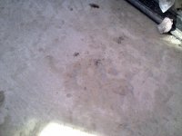 Picture 003.jpg