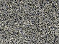 00 Start - Flake.jpg