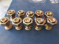Budd nuts.jpg