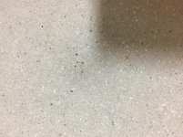 IMG_1272.jpg